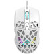 Мышка Canyon Puncher GM-20 USB White (CND-SGM20W)