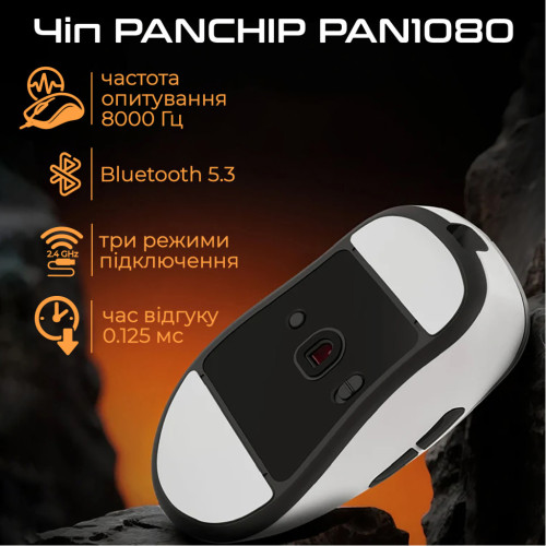 Мишка RAWM ER21 Wireless/Bluetooth Black (ER21.black) – RAWM (вид 2)