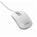 Мышка Gembird MUS-4B-06-WS USB White/Grey (MUS-4B-06-WS) – Gembird (вид 1)