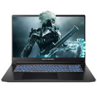 Ноутбук Dream Machines RT5050-17 (RT5050-17UA23)