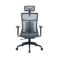 Офисное кресло OfficePro Balance OC550-B-DG-DG (OC550-B-DG-DG)