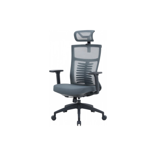 Офисное кресло OfficePro Balance OC550-B-DG-DG (OC550-B-DG-DG) – OfficePro (вид 1)