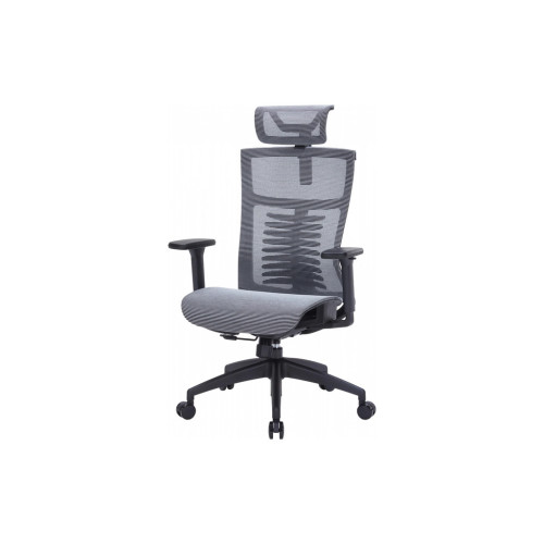 Офисное кресло OfficePro Balance OC620-B-DG-DG (OC620-B-DG-DG) – OfficePro (вид 1)