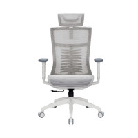 Офисное кресло OfficePro Balance OC620-W-LG-LG (OC620-W-LG-LG)