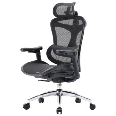 Офисное кресло Sihoo DORO C300L Mesh Black (DORO-C300L-A3-101)