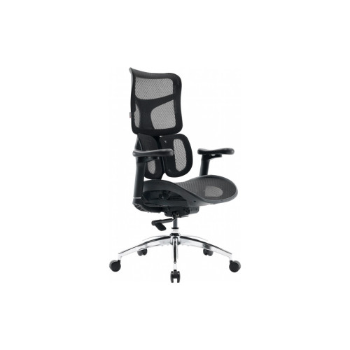 Офісне крісло Sihoo DORO S100 Mesh Black (S100-M301) – Sihoo