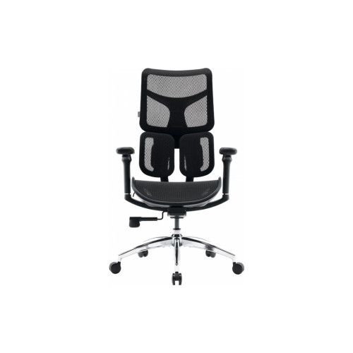 Офісне крісло Sihoo DORO S100 Mesh Black (S100-M301) – Sihoo (вид 1)
