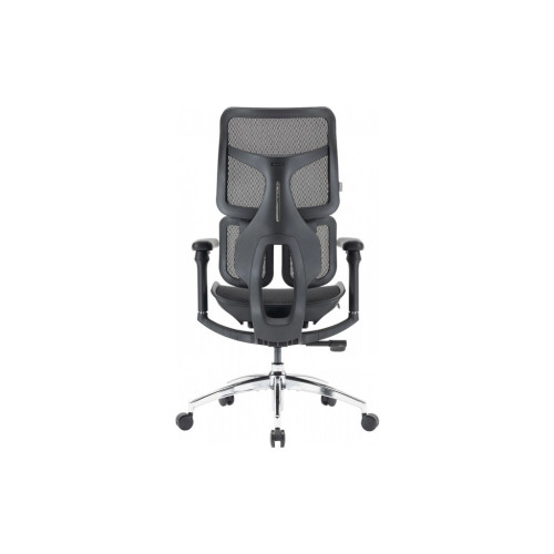 Офісне крісло Sihoo DORO S100 Mesh Black (S100-M301) – Sihoo (вид 2)