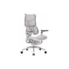 Офисное кресло Sihoo DORO S300 Mesh Light Grey (S300-M202)