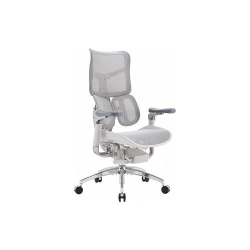 Офісне крісло Sihoo DORO S300 Mesh Light Grey (S300-M202) – Sihoo