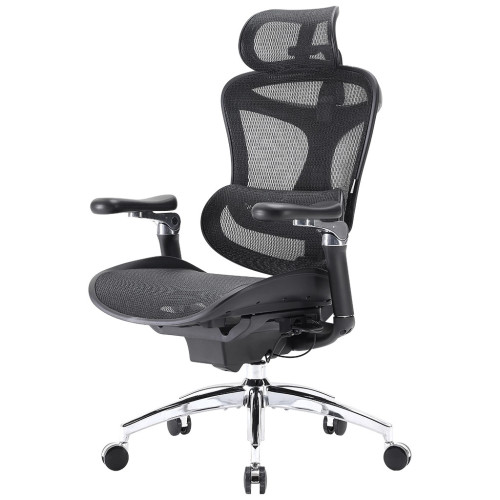 Офісне крісло Sihoo DORO C300 Pro Mesh Black (DORO-C300-PRO-M101) – Sihoo
