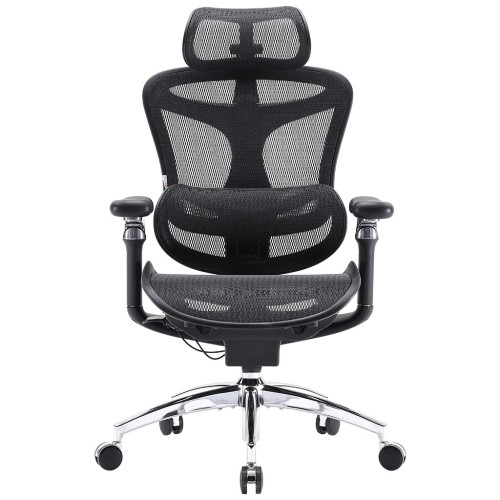 Офісне крісло Sihoo DORO C300 Pro Mesh Black (DORO-C300-PRO-M101) – Sihoo (вид 1)