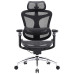 Офісне крісло Sihoo DORO C300 Pro Mesh Black (DORO-C300-PRO-M101) – Sihoo (вид 1)