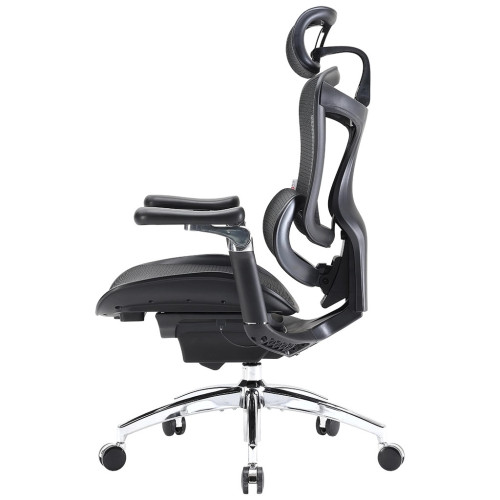 Офісне крісло Sihoo DORO C300 Pro Mesh Black (DORO-C300-PRO-M101) – Sihoo (вид 2)