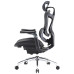 Офісне крісло Sihoo DORO C300 Pro Mesh Black (DORO-C300-PRO-M101) – Sihoo (вид 2)