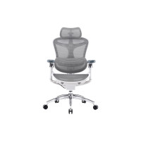Офісне крісло Sihoo DORO C300 Pro Mesh White (DORO-C300-PRO-M102)