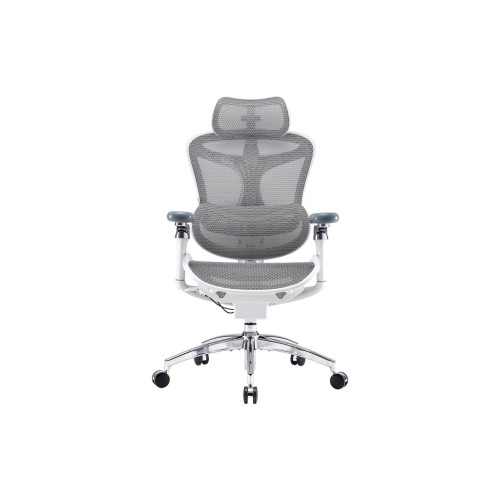 Офісне крісло Sihoo DORO C300 Pro Mesh White (DORO-C300-PRO-M102) – Sihoo