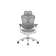 Офісне крісло Sihoo DORO C300 Pro Mesh White (DORO-C300-PRO-M102)