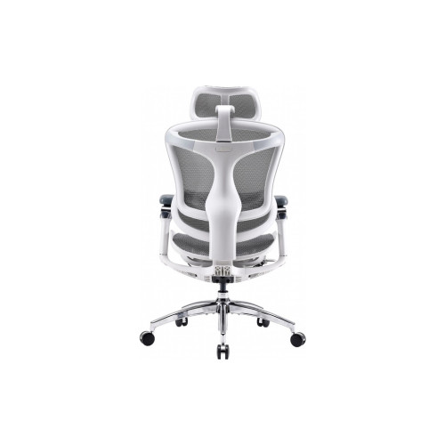 Офісне крісло Sihoo DORO C300 Pro Mesh White (DORO-C300-PRO-M102) – Sihoo (вид 1)