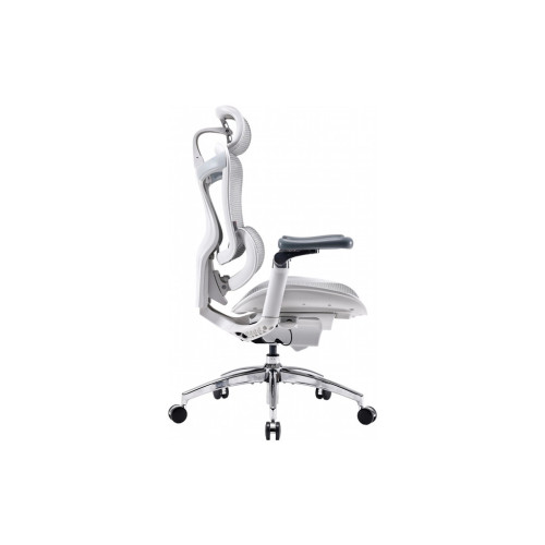 Офісне крісло Sihoo DORO C300 Pro Mesh White (DORO-C300-PRO-M102) – Sihoo (вид 2)