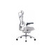 Офісне крісло Sihoo DORO C300 Pro Mesh White (DORO-C300-PRO-M102) – Sihoo (вид 2)