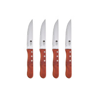 Набір ножів Bergner Bbq lovers для стейків, 4 предмети (BG-40201-MM)
