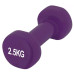 Гантель PowerPlay 4125 Achilles 2.5 кг Фіолетова (PP_4125_2.5kg) – PowerPlay