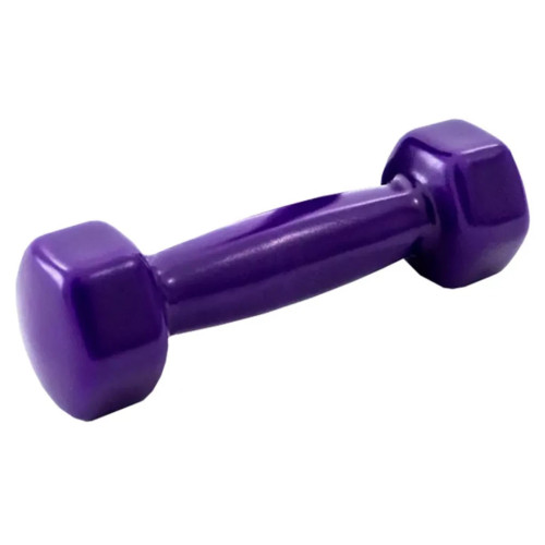 Гантель X-TREME 2,5 кг (117245) – X-TREME