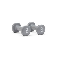 Гантель Reebok Dumbbells RAWT-16152 сірий Уні 2 кг (885652018234)