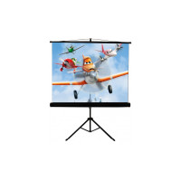 Проекционный экран Walfix SNT-2