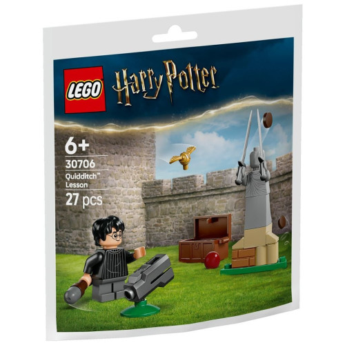 Конструктор LEGO Harry Potter Урок по квиддичу (30706) – LEGO