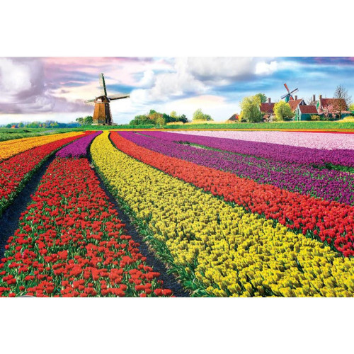 Пазл Eurographics Поле тюльпанів у Нідерландах 1000 елемен (6000-5326) – Eurographics (вид 1)