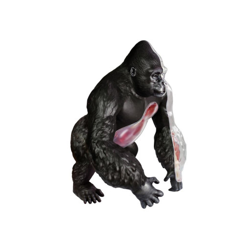 Пазл 4D Master Горила (FM-622012) – 4D Master (вид 1)