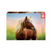 Пазл Educa Лошадь на рассвете 500 элементов (6336984) – Educa