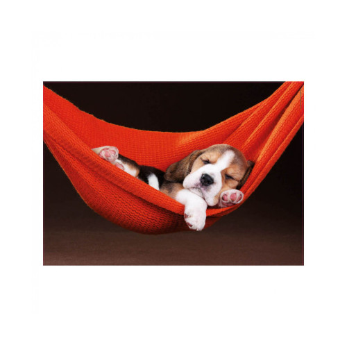 Пазл Educa Сон в гамаке 500 элементов (6425278) – Educa (вид 1)