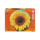 Пазл Educa Подсолнечник 800 элементов (6337245)