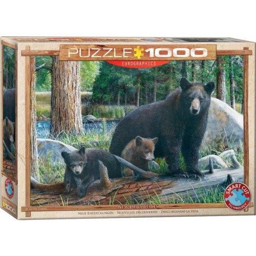 Пазл Eurographics Познавая мир 1000 элементов (6000-0793) – Eurographics
