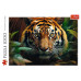 Пазл Trefl Дикий тигр 1000 елементів (5900511107982) – Trefl (вид 1)
