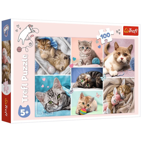 Пазл Trefl В кошачьем мире 100 элементов (5900511164206) – Trefl