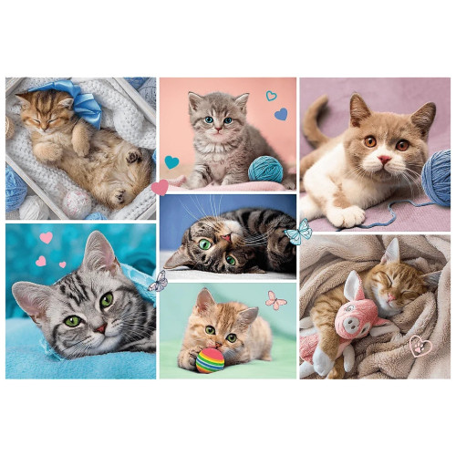 Пазл Trefl В кошачьем мире 100 элементов (5900511164206) – Trefl (вид 1)