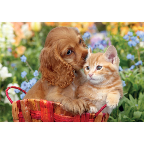 Пазл Clementoni Noli Cute Friends серия MAXI, 104 элемента (25763) – Clementoni (вид 1)