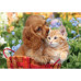 Пазл Clementoni Noli Cute Friends серия MAXI, 104 элемента (25763) – Clementoni (вид 1)