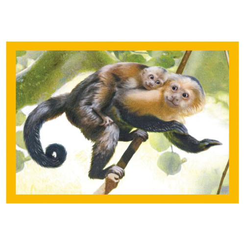 Пазл Clementoni 4 в 1 Baby Cuddles, 12,16,20 и 24 элемента (21532) – Clementoni (вид 2)