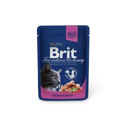 Вологий корм для кішок Brit Premium Cat Pouches with Salmon&Trout 100 г (8595602505999)