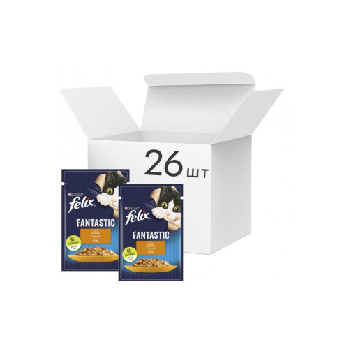 Вологий корм для кішок Purina Felix Fantastic з куркою в желе 85 г (7613039788097) – Purina Felix (вид 2)