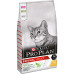 Сухой корм для кошек Purina Pro Plan Original с курицей 10 кг (7613036508032) – Purina Pro Plan