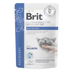 Влажный корм для кошек Brit GF VetDiets Recovery с лососем 85 г (8595602566693)