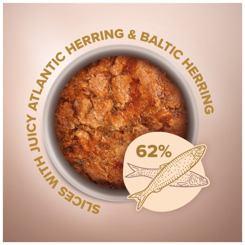 Вологий корм для кішок Club 4 Paws Paws Selection Преміум Шматочки з оселедцем та салакою в желе 80 г (4820215368025) – Club 4 Paws (вид 1)