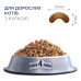 Сухой корм для кошек Club 4 Paws Премиум. Со вкусом курицы 300 г (4820083909795) – Club 4 Paws (вид 2)