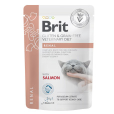 Влажный корм для кошек Brit GF VetDiets Renal с лососем 85 г (8595602566709)